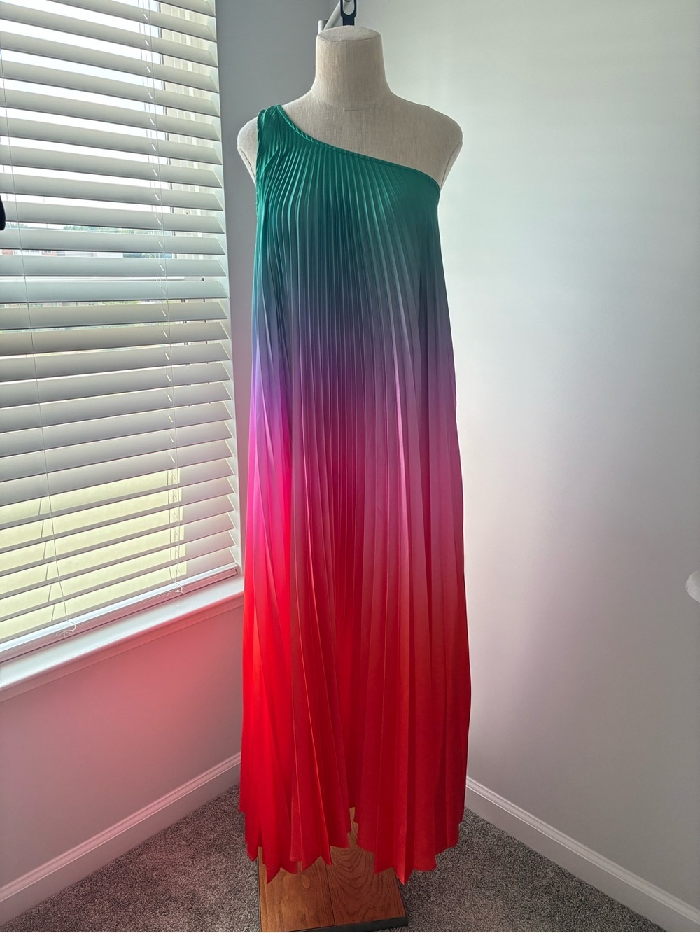 Delfi Collective Women's Multi-Colored Pleated One Shoulder Maxi Dress